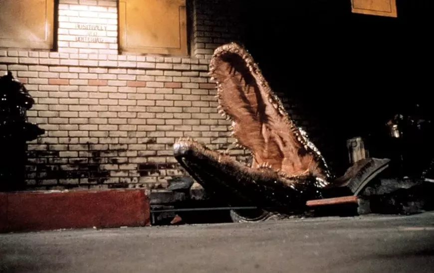 36._Alligator_1.jpg