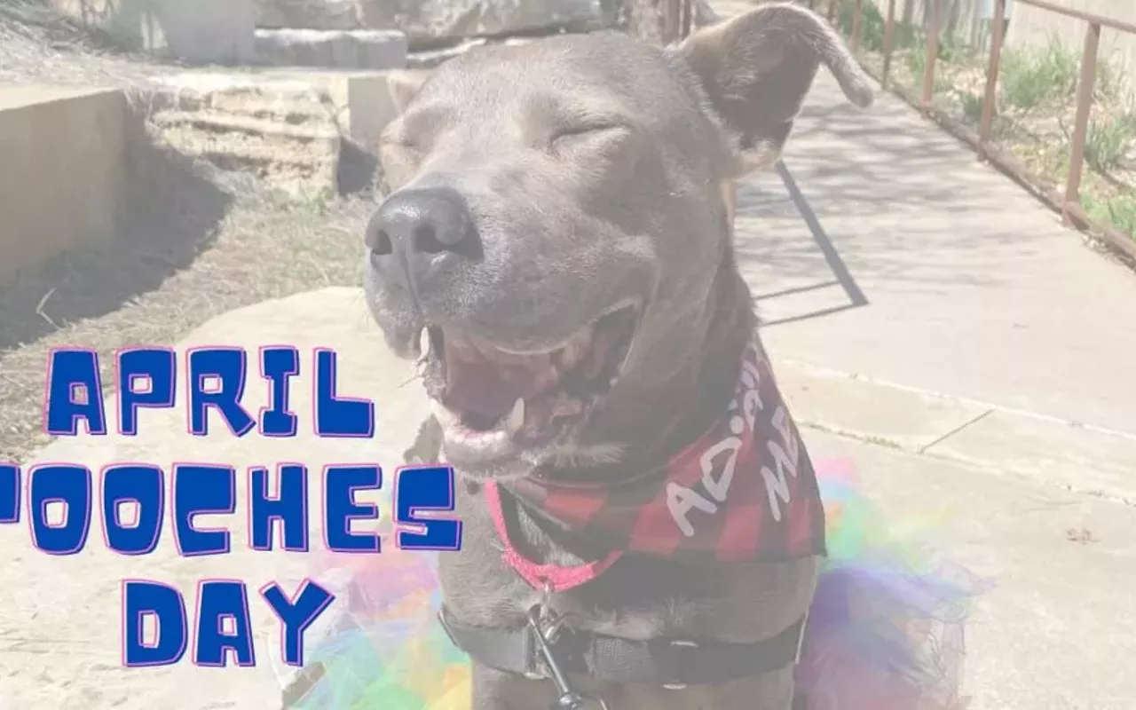 Image: April Pooches Day