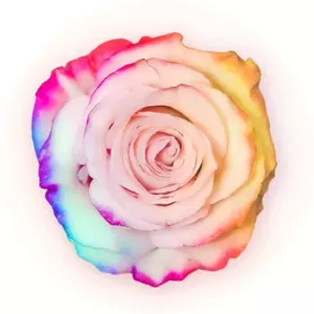Image: Avery Bruce, melotheory (single release), East of Eado