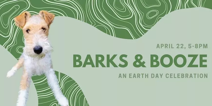 barksboozeearthday.webp
