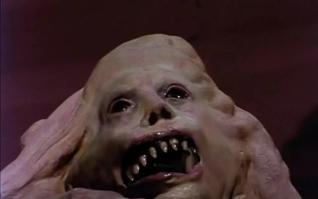 Image: Basket Case