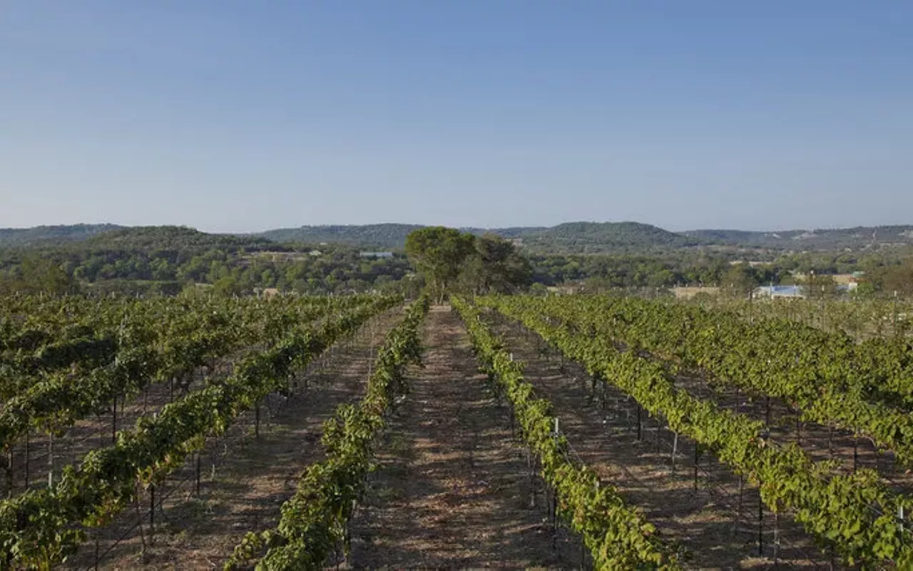 Image: Bending Branch Winery