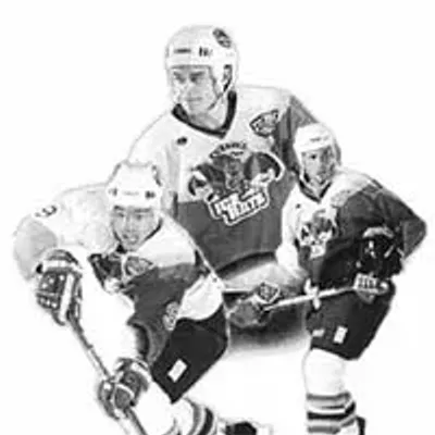 Image: Best Austin Team