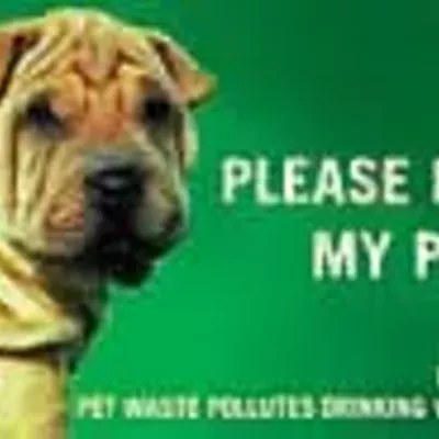 Image: Best Billboard