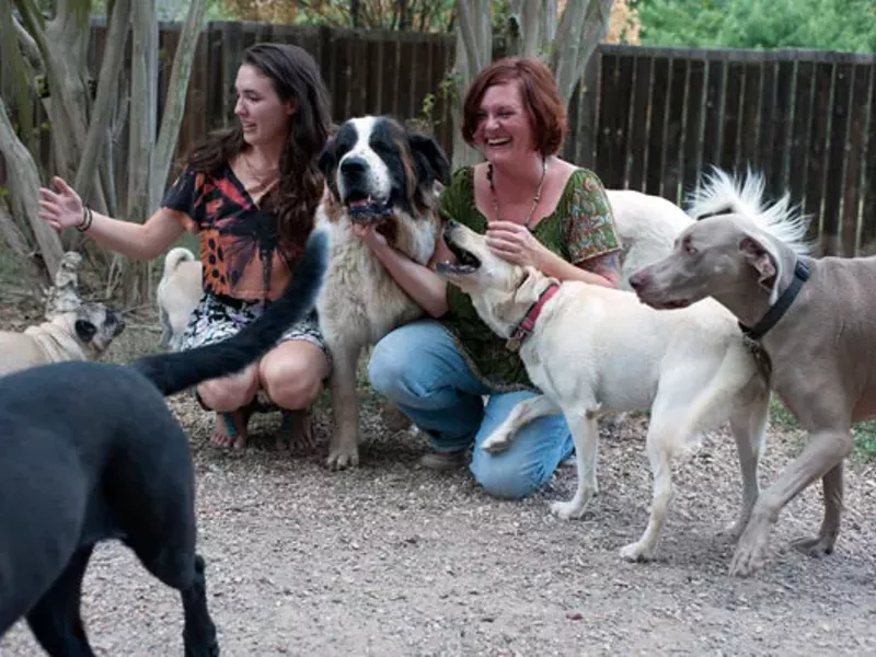 Image: Best Country Getaway for Dogs