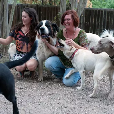 Image: Best Country Getaway for Dogs