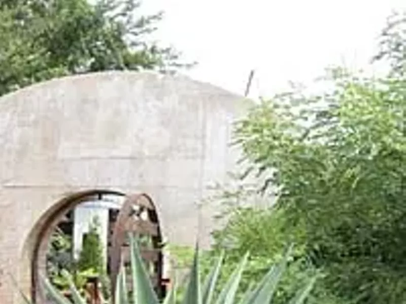 Image: Best Gardener/Landscaping