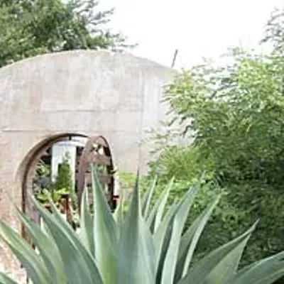 Image: Best Gardener/Landscaping