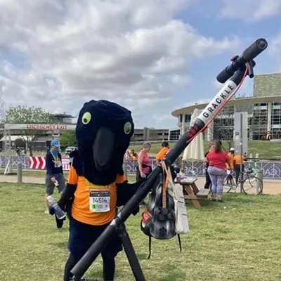 Image: Best Grackle
