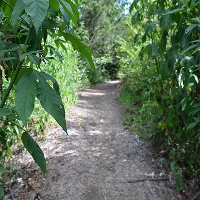 Image: Best Hidden Hike (in the Middle of the City)