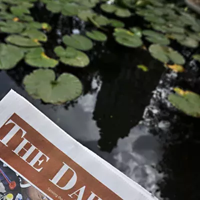 Image: Best Local Non-&lsquo;Chronicle&rsquo; Publication