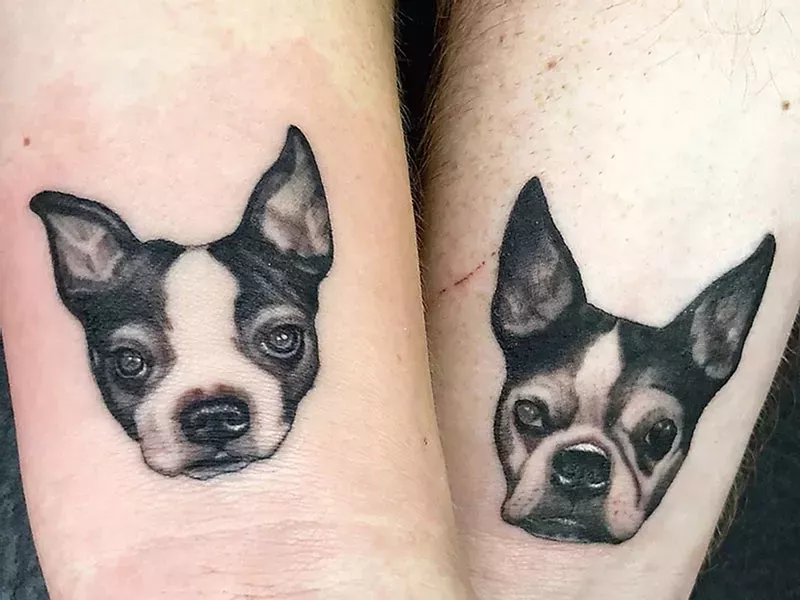 Image: Best Pet Portraits