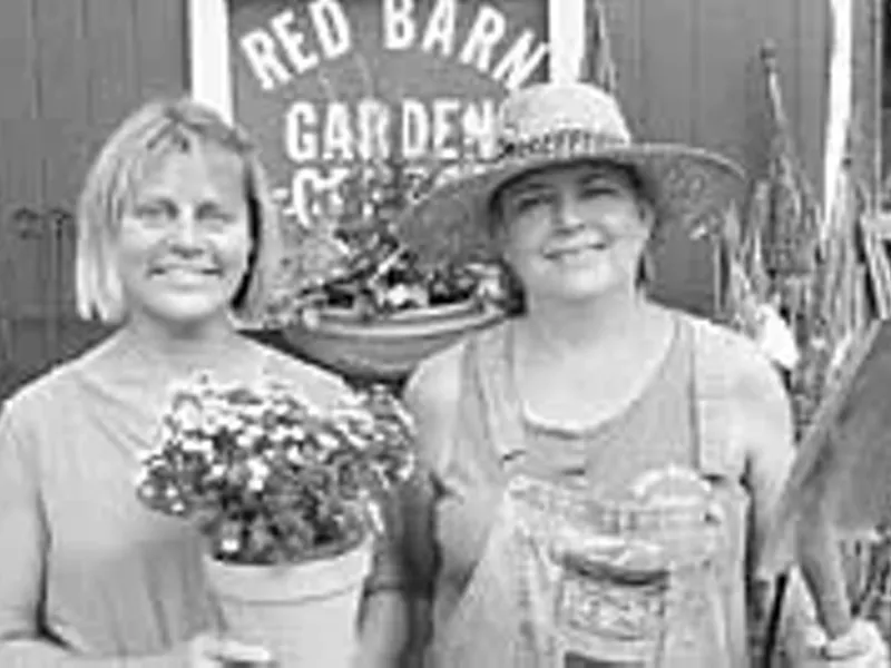 Image: Best Plant Nursery