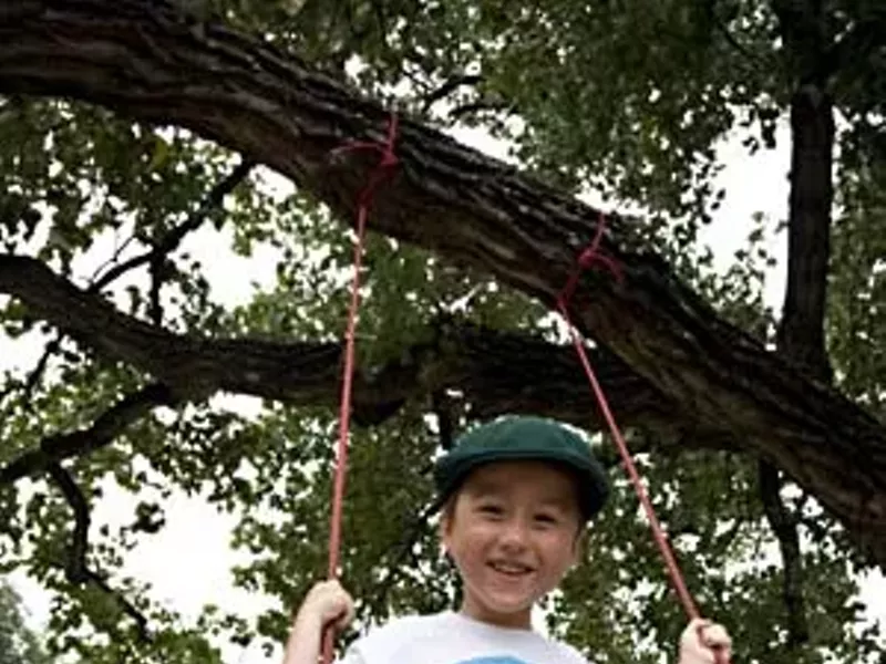 Image: Best Swings