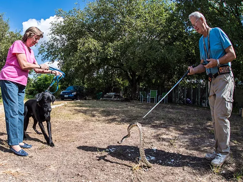 Image: Best Training to Keep Fido Safe in the Woods