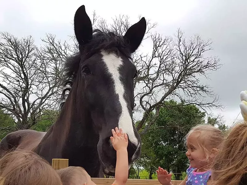 Image: Best Way to Heal on Four Legs