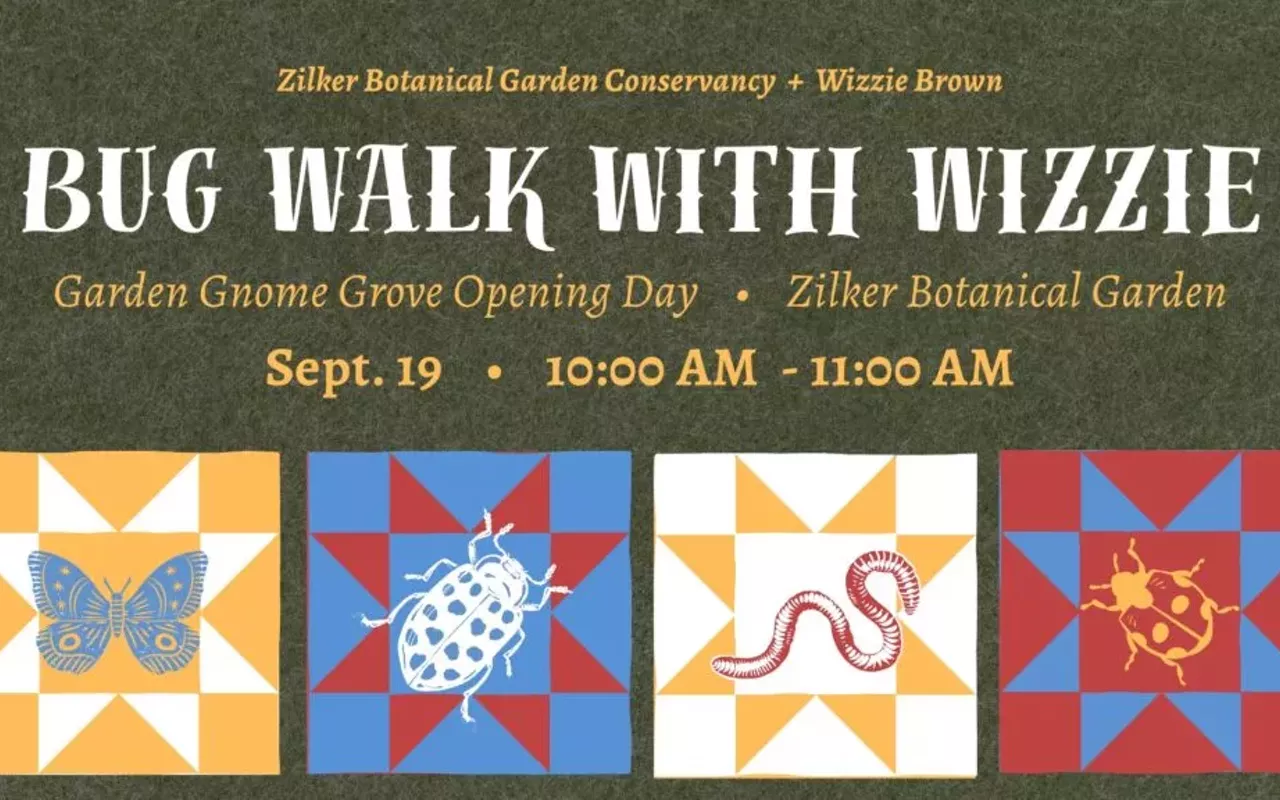 Image: Bug Walk With Wizzie Brown