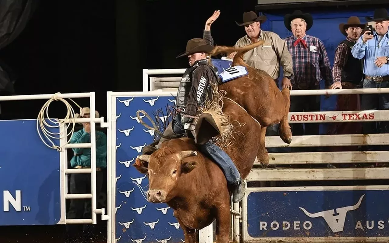Image: Bulls in the Ballpark