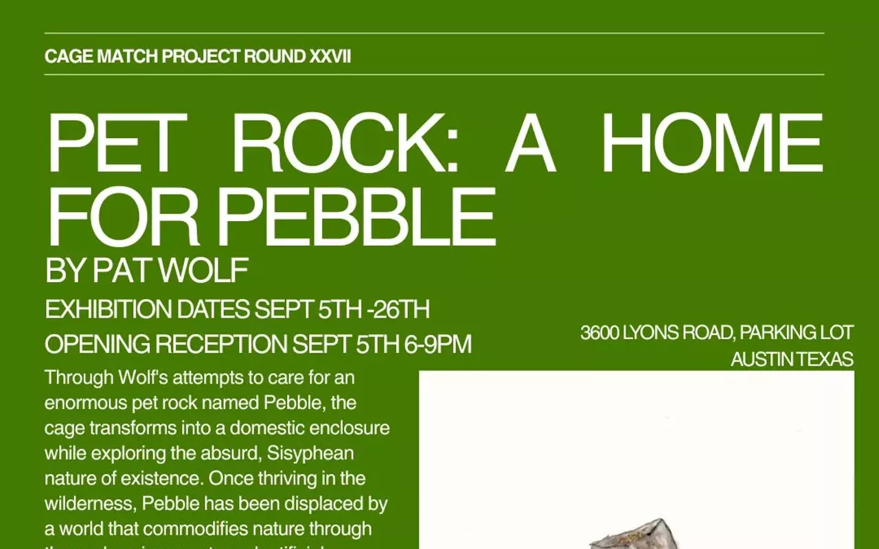 Image: Cage Match Project, Round 27 &ldquo;Pet Rock: A Home For Pebble&rdquo; by Pat Wolf