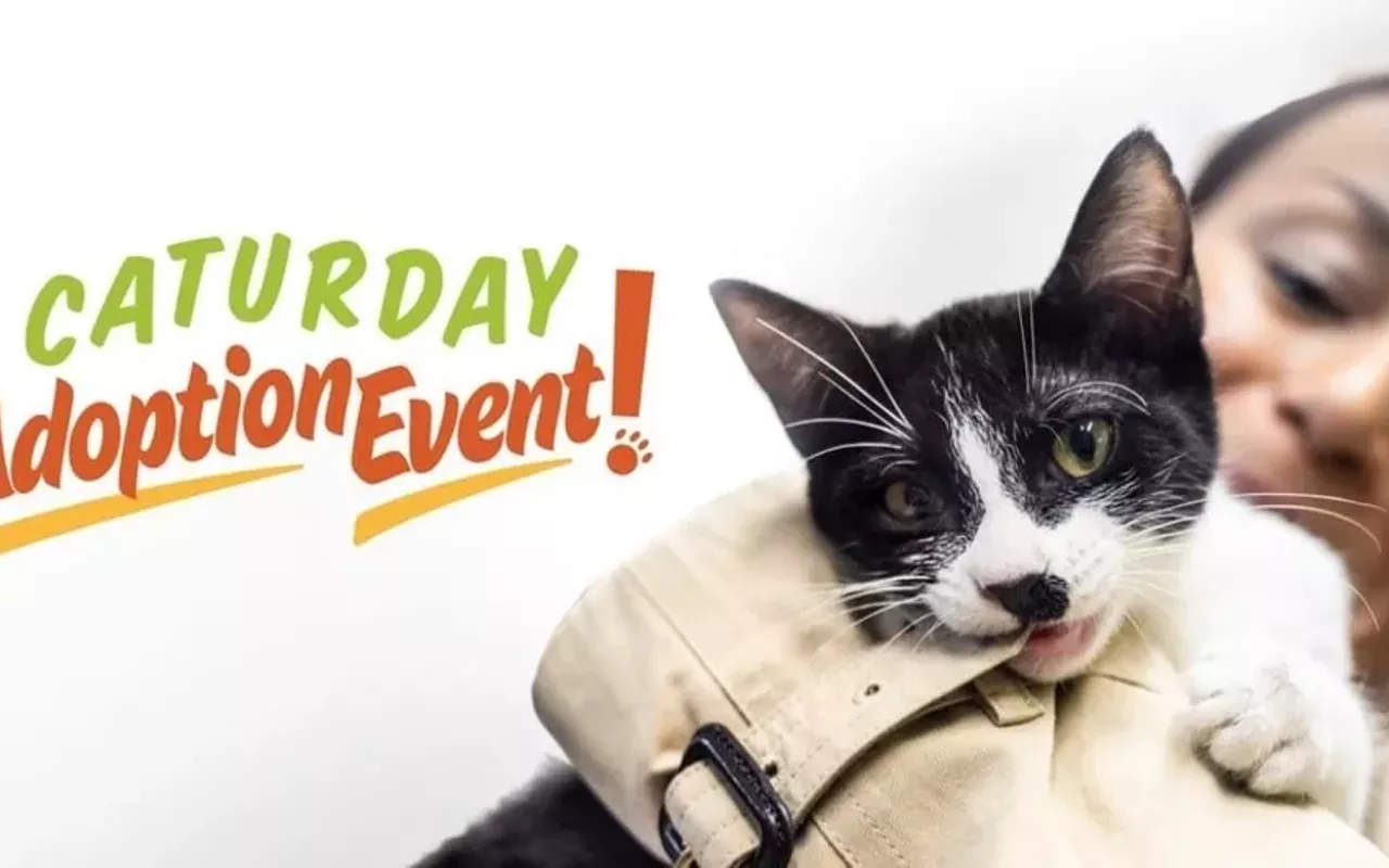 Image: Caturday Adoption Event With Austin Pets Alive!