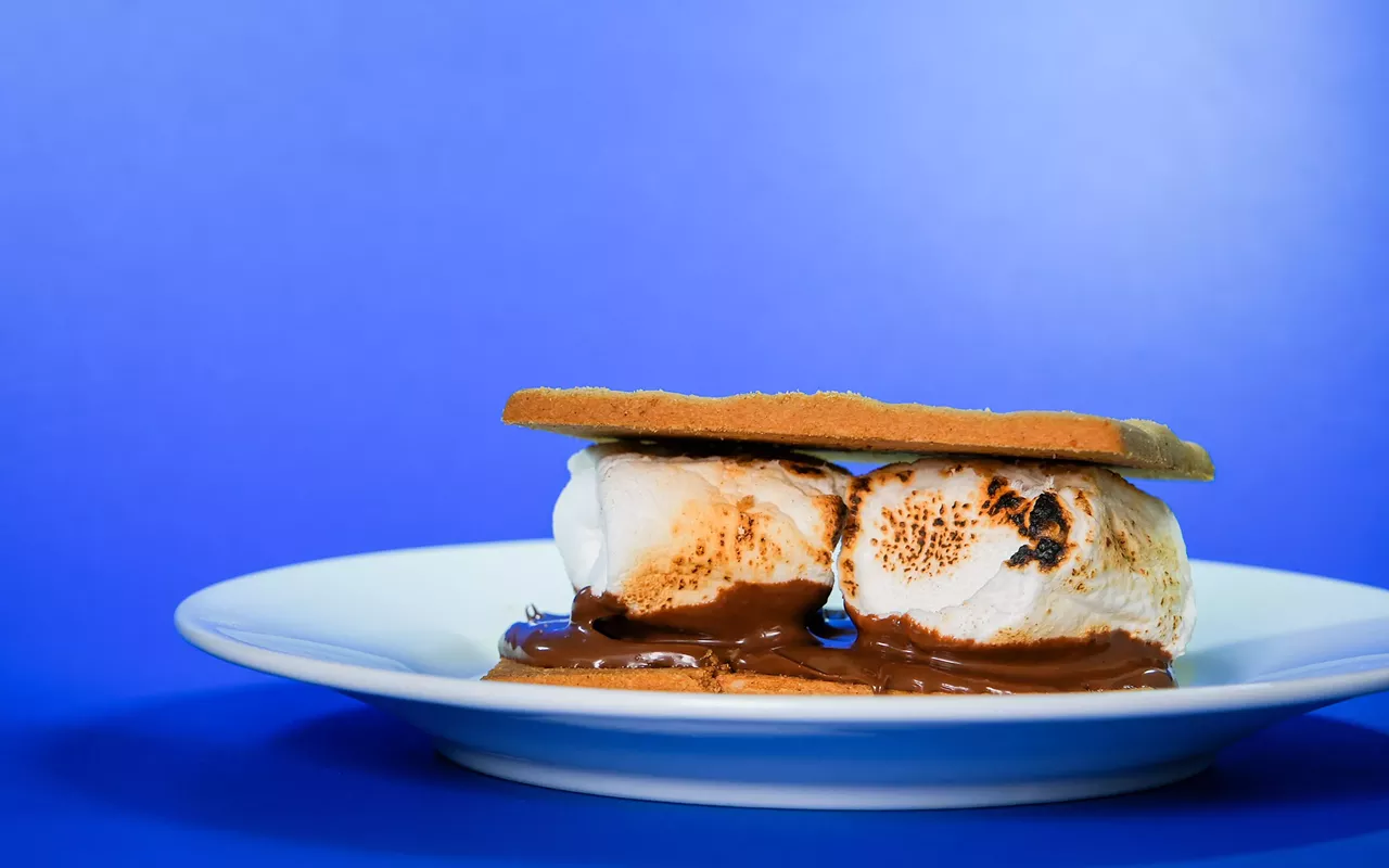 Image: Crafty Adult: National S’mores Day