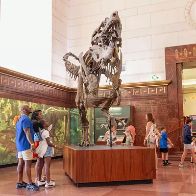 Image: Dinosaur Day