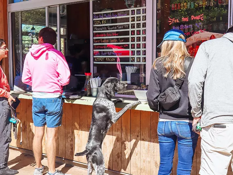 Image: Dog-Friendly Space