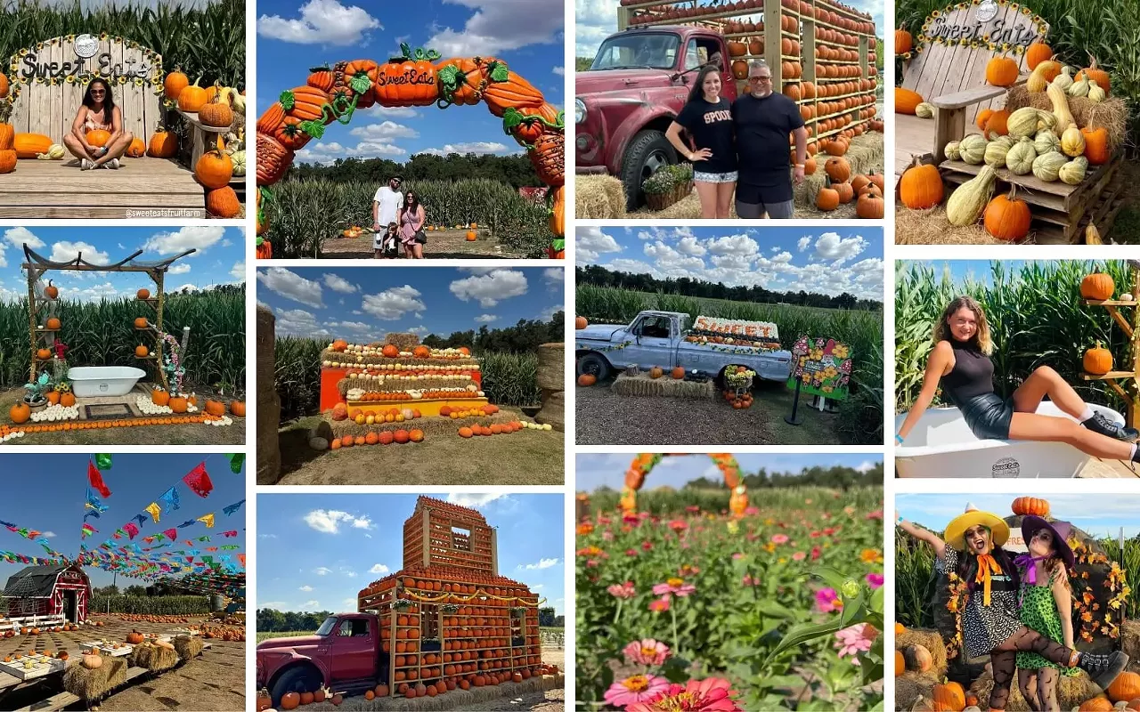 Image: Fall Festival