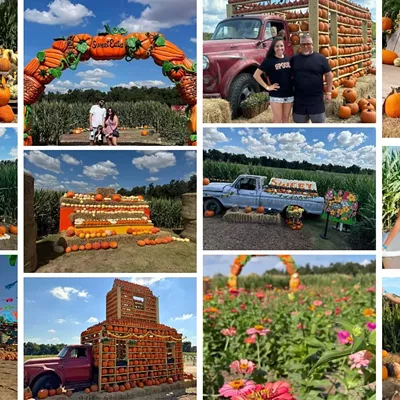 Image: Fall Festival
