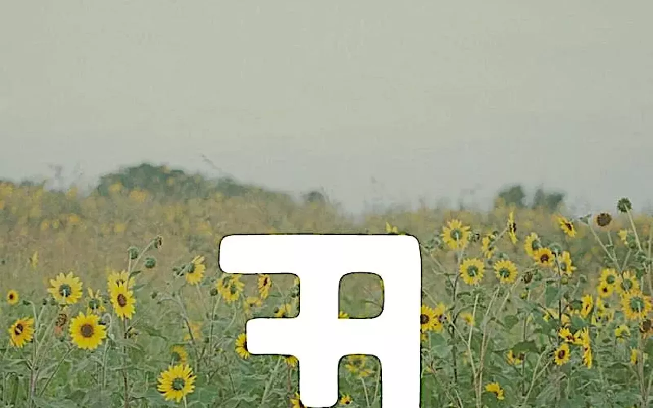 Image: Field Guide Festival