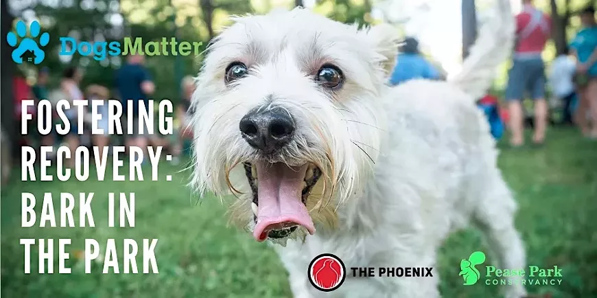 fosteringrecoverybarkinthepark.webp