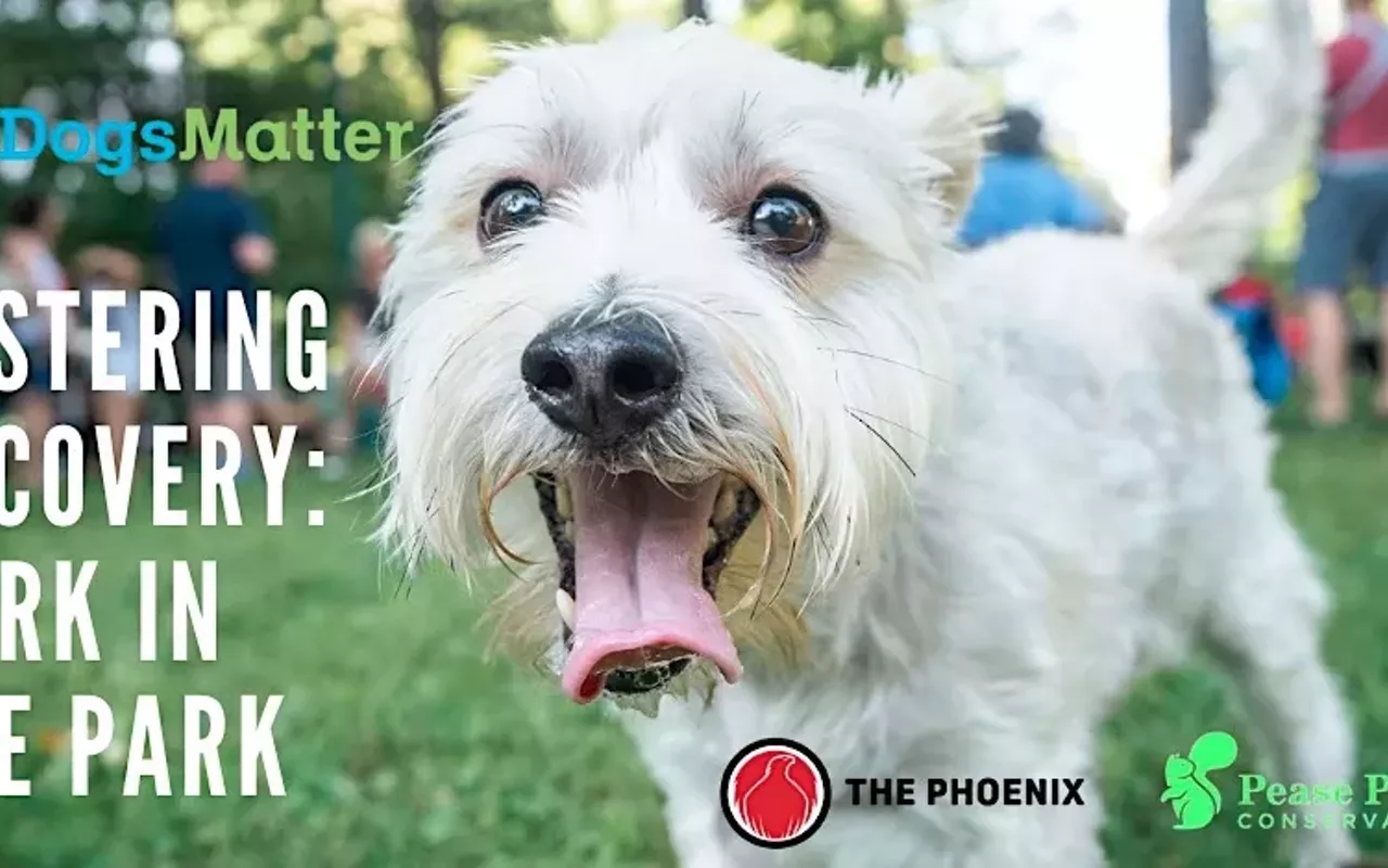 Image: Fostering Recovery: Bark in the Park