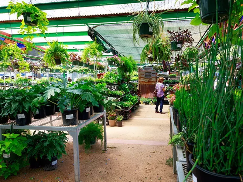 Image: Garden Store/Nursery