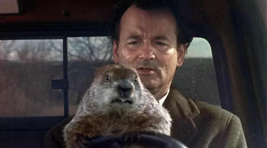 ss_groundhogday.webp