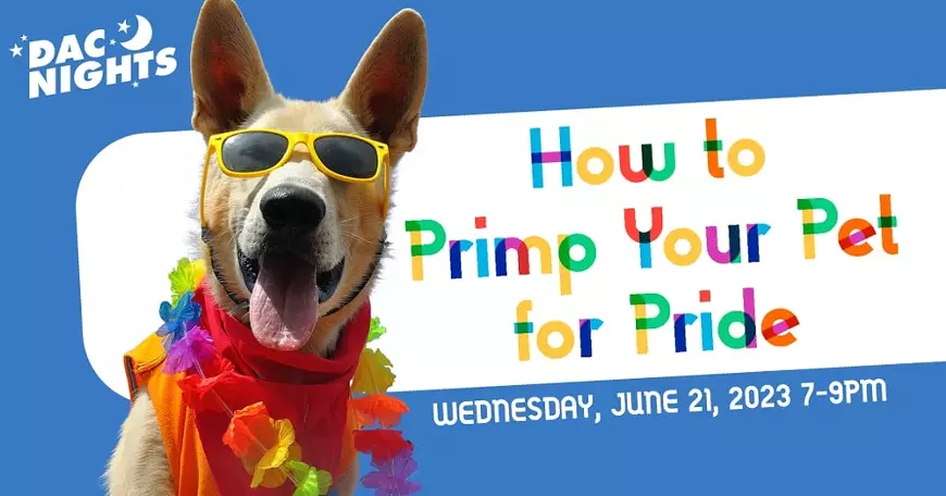 pridepets-min.webp