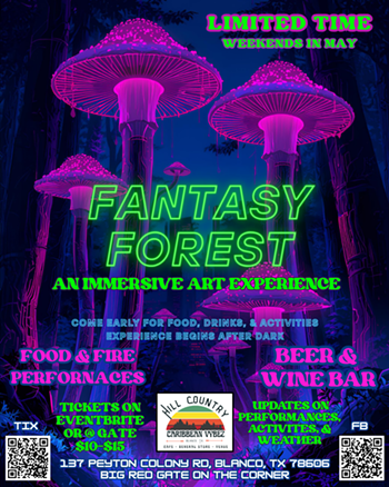 Image: Immersive Art PopUp Experience: Fantasy Forest