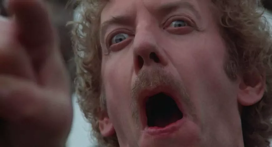 invasion-of-the-body-snatchers.webp