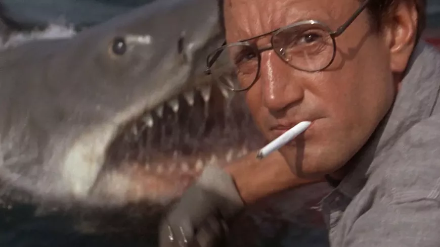 32._jaws_film_still.webp