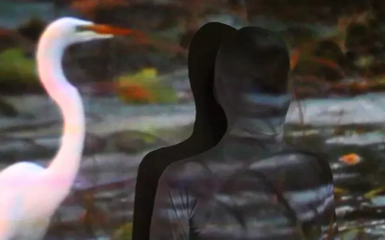 Image: Link & Pin Gallery: Listening to Stillness