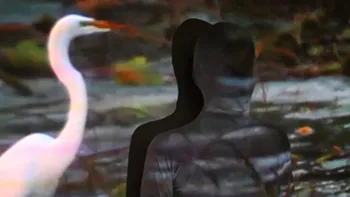Image: Link & Pin Gallery: Listening to Stillness