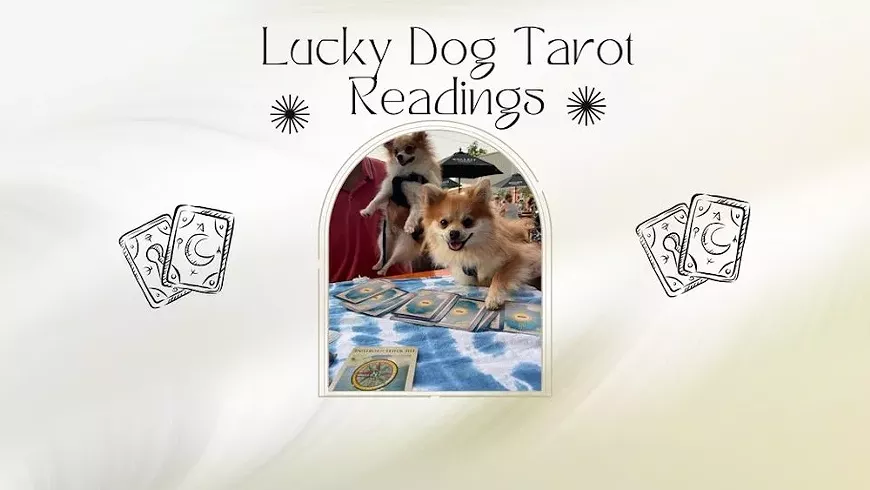 luckydogtarot.webp