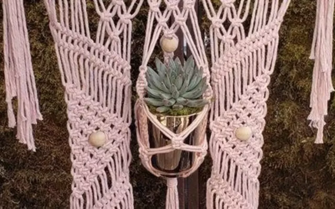 Image: Macrame a Wall Plant Hanger