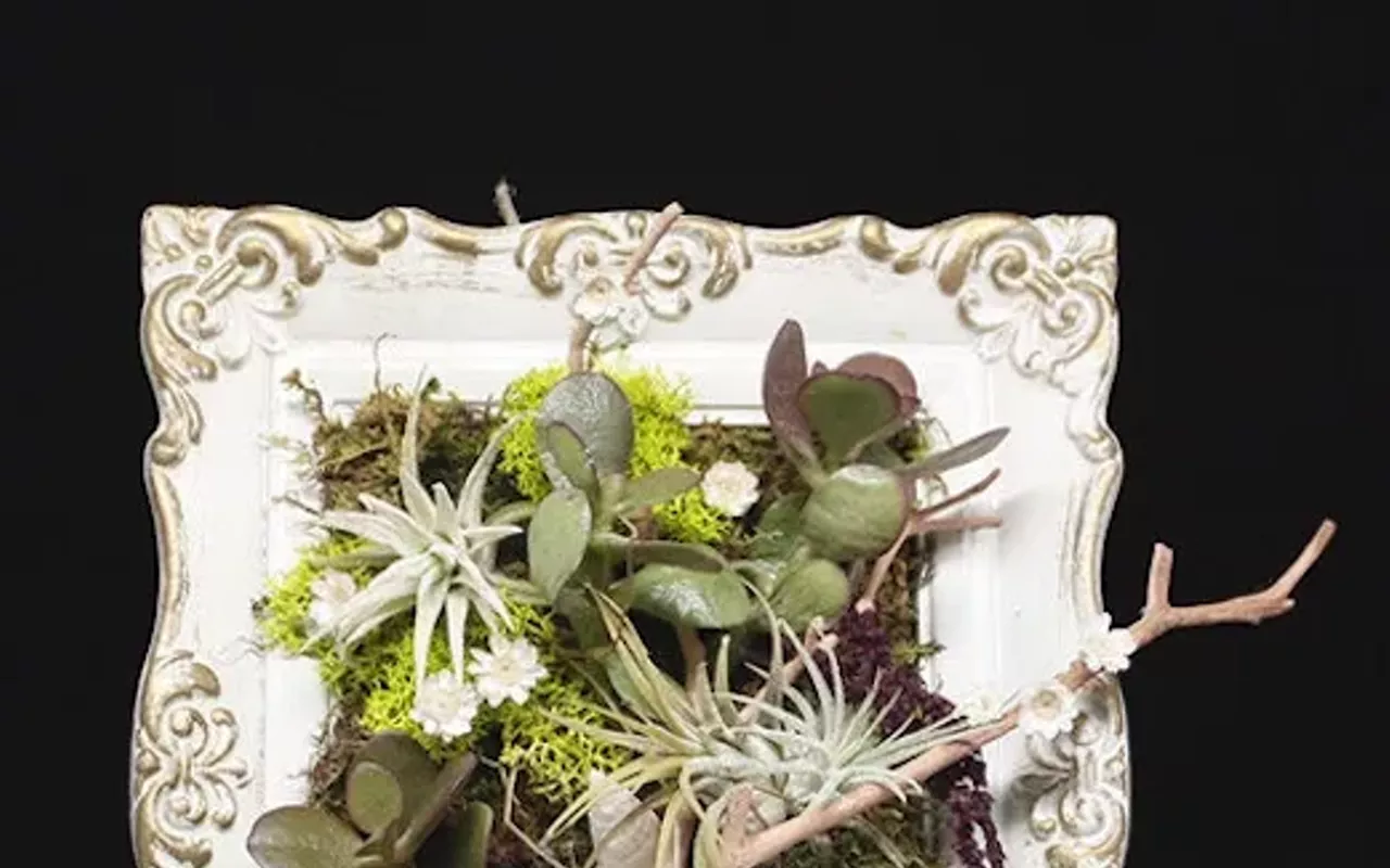 Image: Make a Mini Living Wall Class
