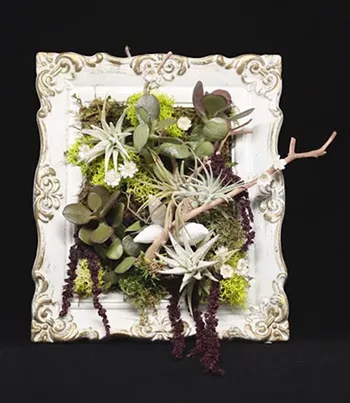 Image: Make a Mini Living Wall Class