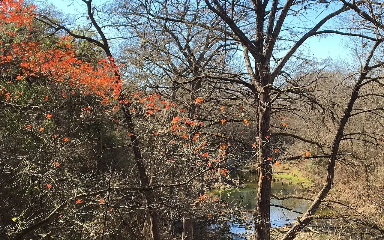 Image: McKinney Falls Volksmarch