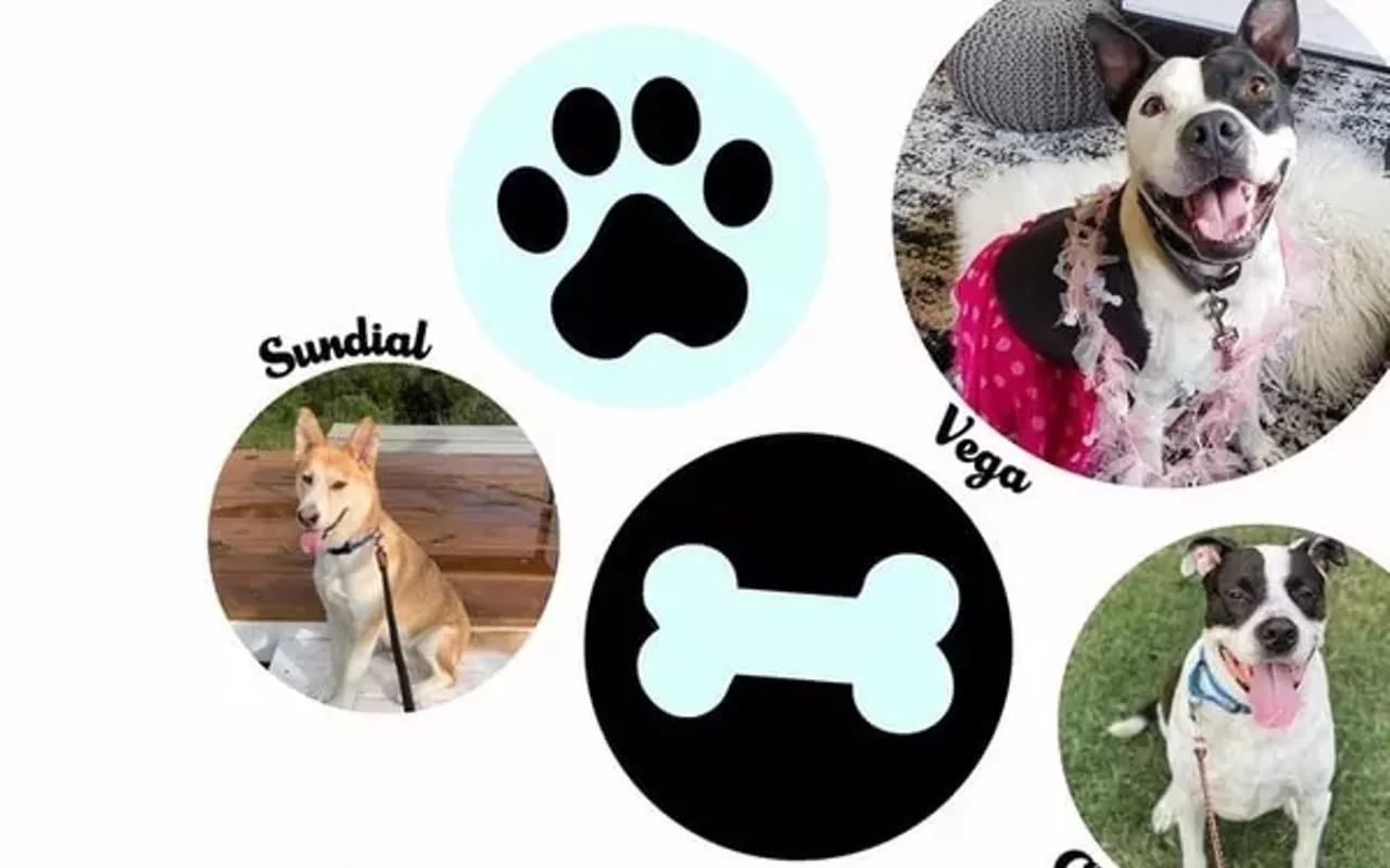 Image: National Dog Day Yappy Hour