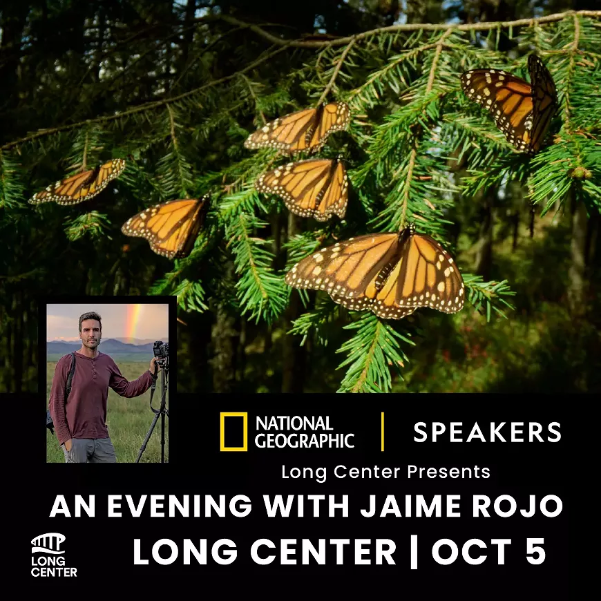 natgeo-monarchs-20260817-1200x1200.webp