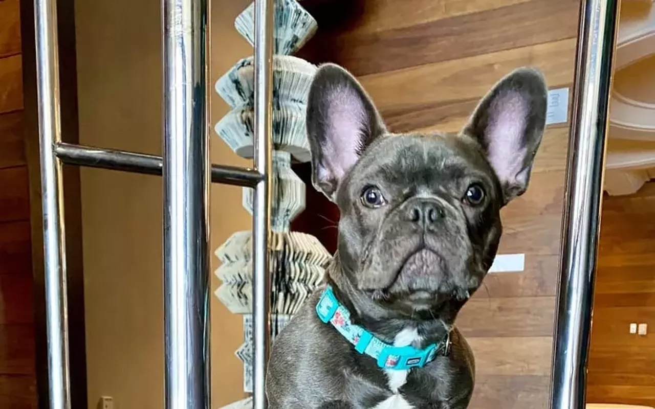 Image: National Puppy Day at TRACE