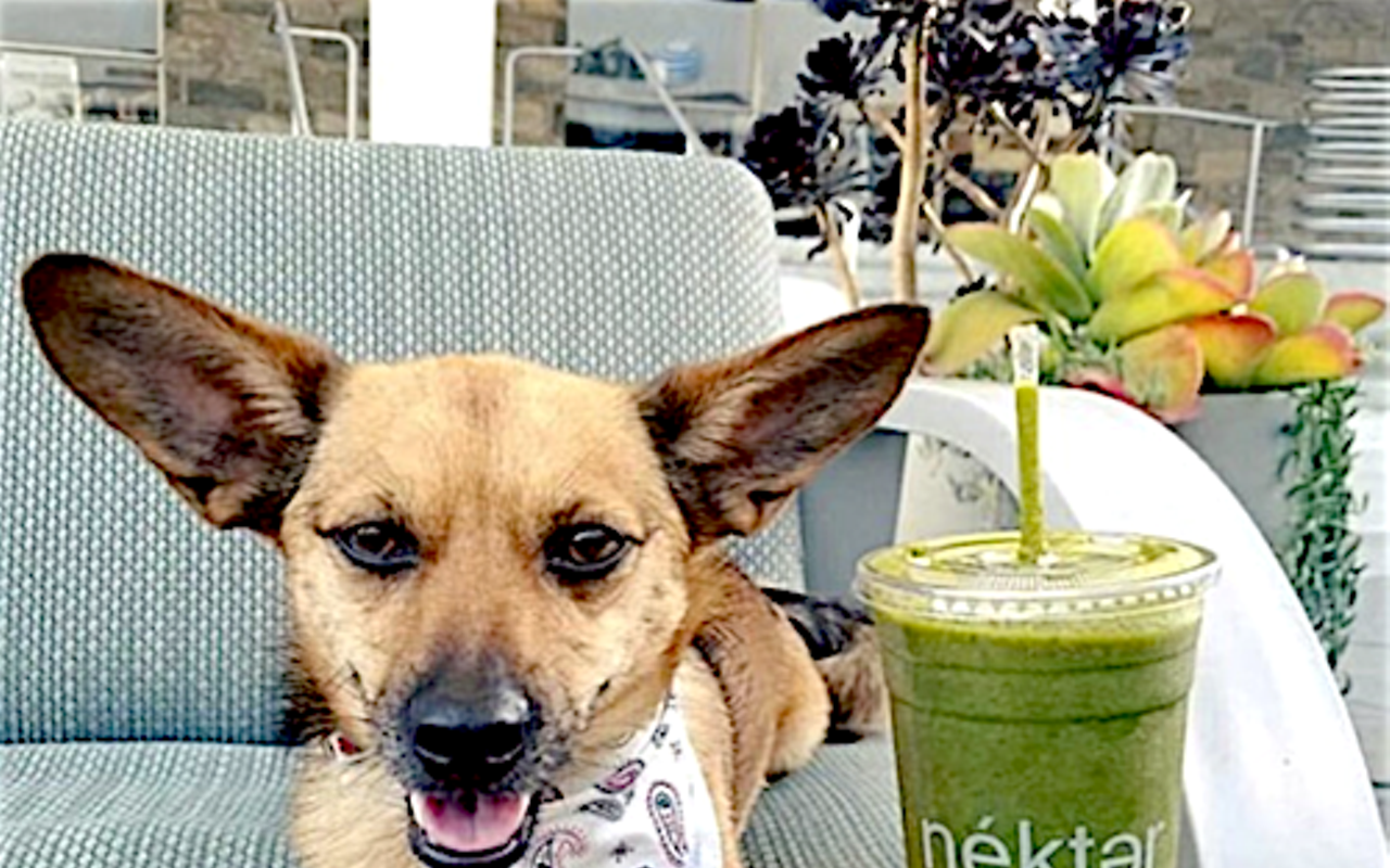 Image: N&eacute;kter Juice Bar