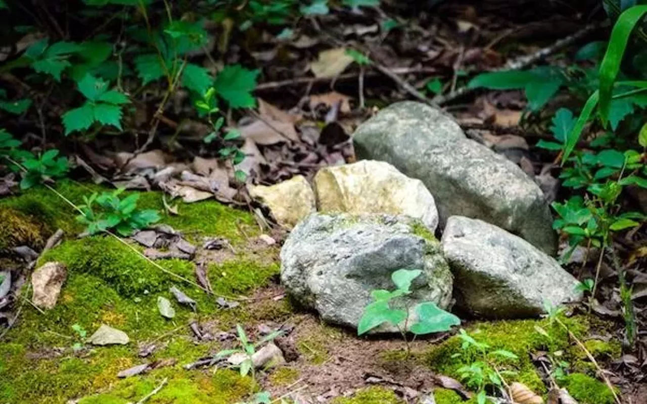 Image: Northern-Southern: From, A Return to Outdoors